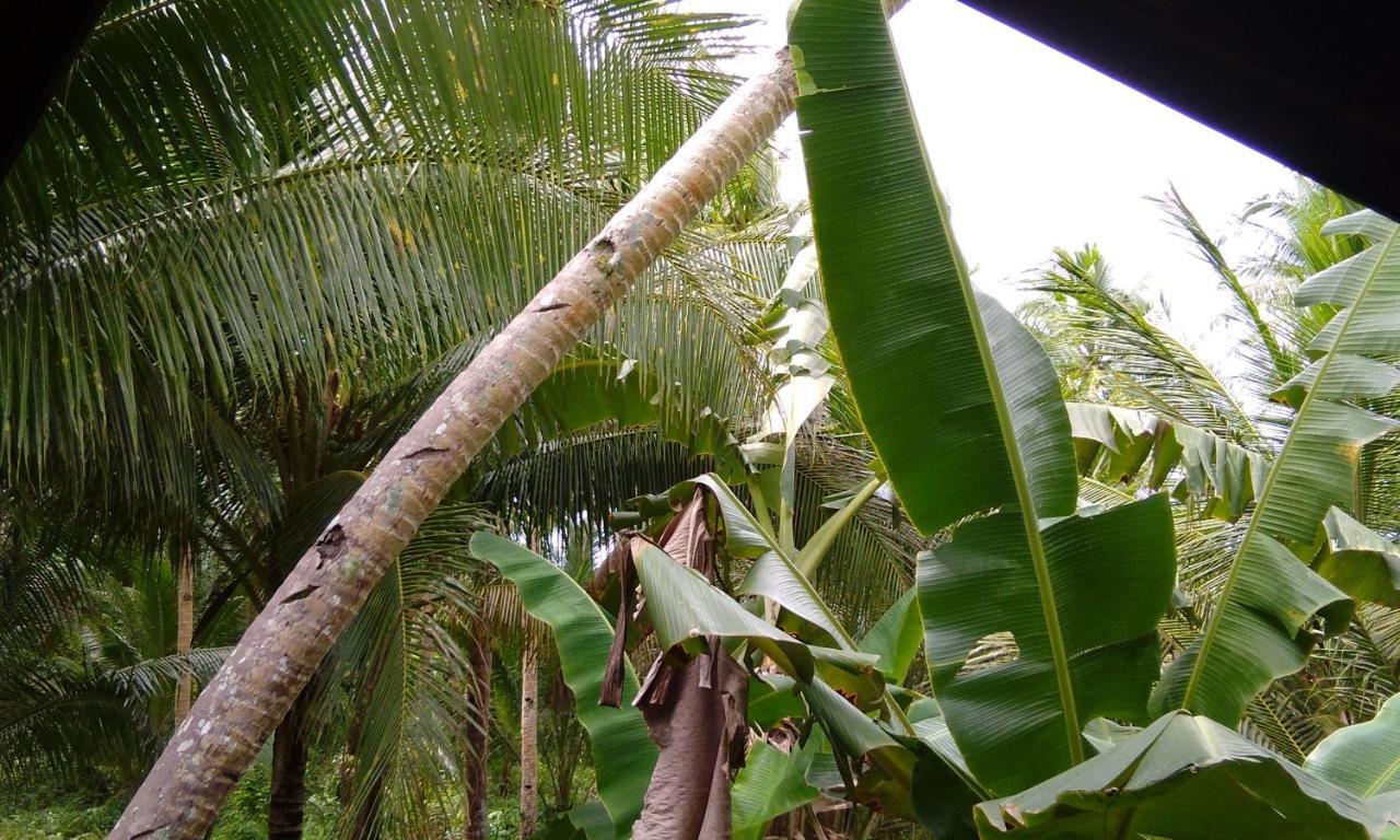 Villa BUTTERFLY HOUSE, Libertad, General Luna, Siargao, Filipinas General Luna  Exterior foto